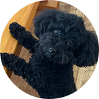 プロフィール写真